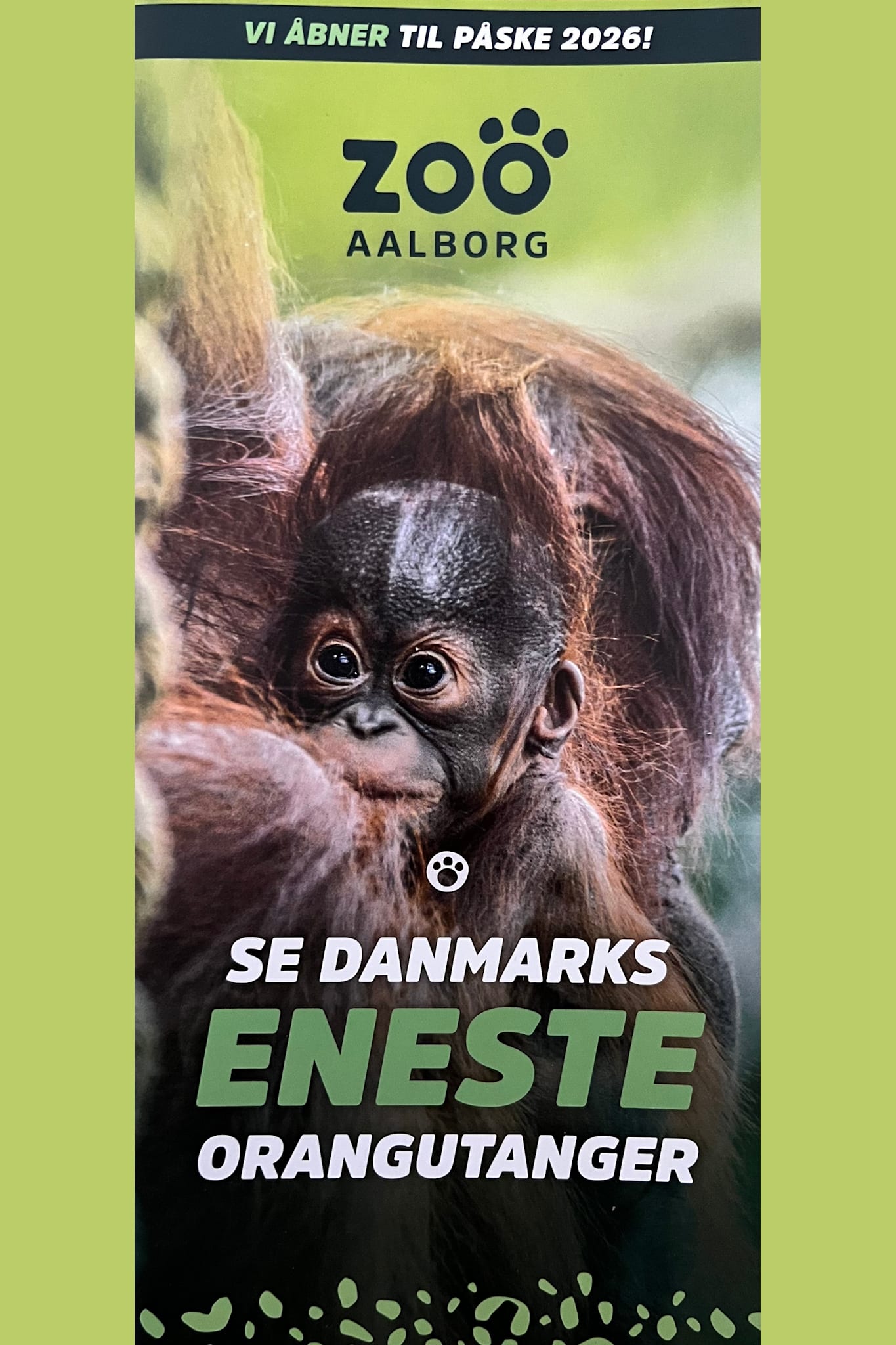 Aalborg Zoo (DK, UK)