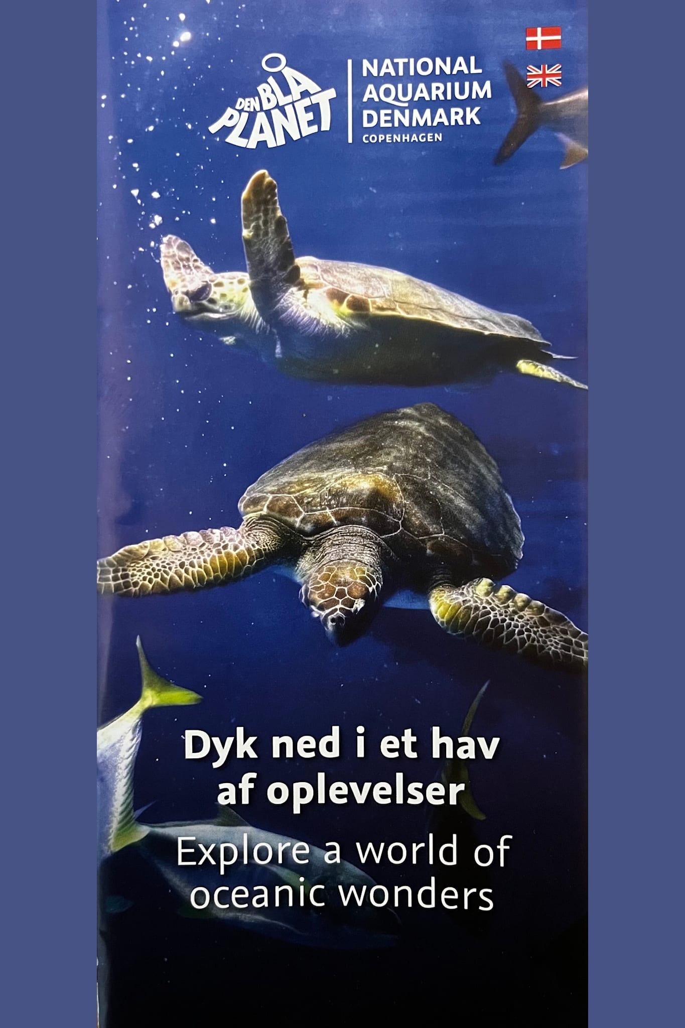 Der Blaue Planet – Dänisches Aquarium (DK, UK)